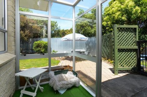 Photo of property in 3/211 Windsor Avenue, Parkvale, Hastings, 4122