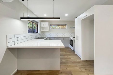 Photo of property in 41 Hume Street, Sydenham, Christchurch, 8023