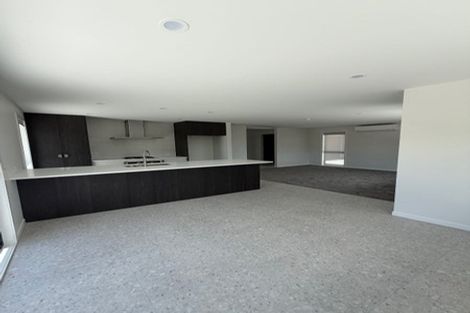 Photo of property in 14a Dudley Street, Levin, 5510