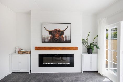 Photo of property in 173 Botanical Road, Takaro, Palmerston North, 4412