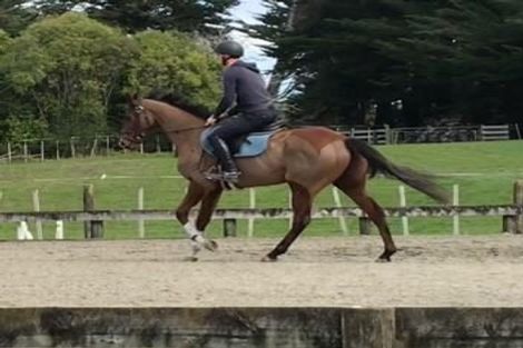 Photo of property in 19 Valley Road, Waitoki, Kaukapakapa, 0871