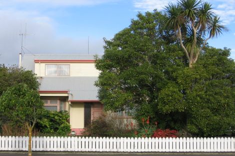 Photo of property in 28 Manson Street, Terrace End, Palmerston North, 4410