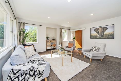 Photo of property in 22 Chapman Street, Leeston, 7632