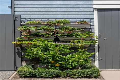 Photo of property in 124 Cobham Street, Spreydon, Christchurch, 8024