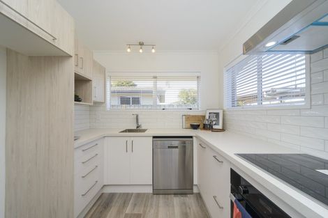 Photo of property in 176b Ruahine Street, Roslyn, Palmerston North, 4414