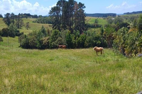 Photo of property in 238 Te Arai Point Road, Te Arai, Wellsford, 0975