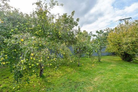 Photo of property in 4 Greenaway Place, Martinborough, 5711