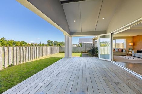 Photo of property in 299 Carmichael Road, Brookfield, Tauranga, 3110