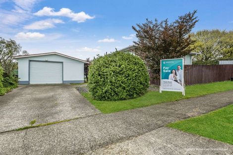 Photo of property in 25 Porritt Place, Waipukurau, 4200