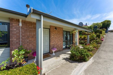 Photo of property in 602a Ferguson Street, Terrace End, Palmerston North, 4410