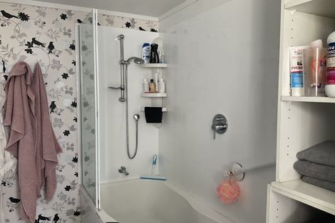 Photo of property in 96 Napier Road, Terrace End, Palmerston North, 4410