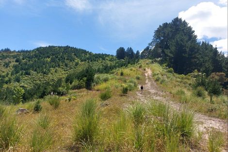Photo of property in 1588 Stanley Road, Waimana, 3198