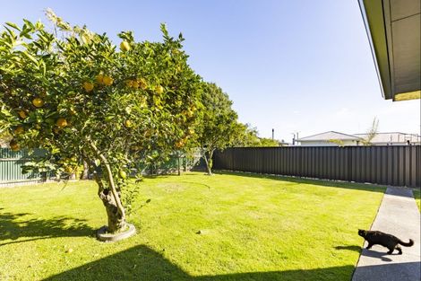 Photo of property in 13 Arnold Street, Onekawa, Napier, 4110