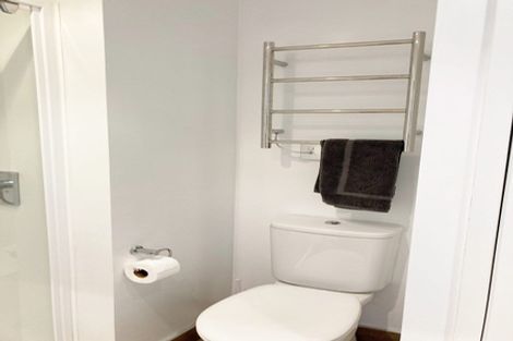 Photo of property in Soho Apartments, 315/74 Taranaki Street, Te Aro, Wellington, 6011