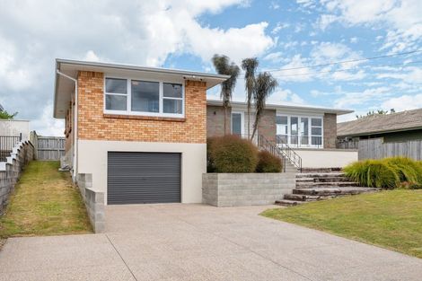 Photo of property in 53 Newcastle Road, Dinsdale, Hamilton, 3204