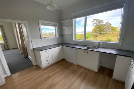 Photo of property in 48 Dunlop Road, Clydevale, Balclutha, 9274