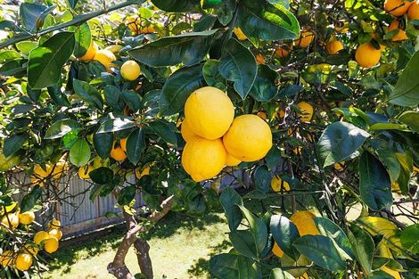 Photo of property in 32 Kingston Street, Awapuni, Palmerston North, 4412