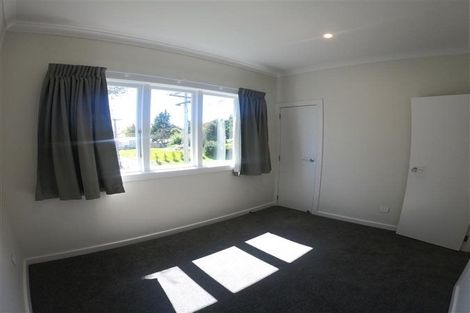 Photo of property in 161 Rimu Street, Maeroa, Hamilton, 3200