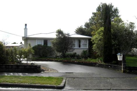 Photo of property in 20 Fergusson Street, Solway, Masterton, 5810