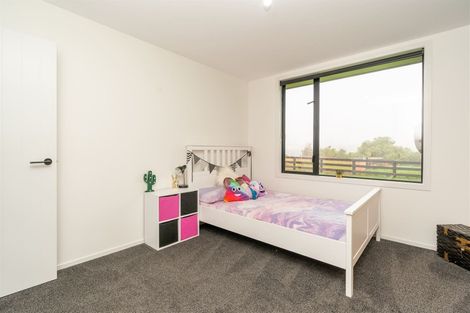 Photo of property in 54 O'shea Road, Pirongia, Te Awamutu, 3876