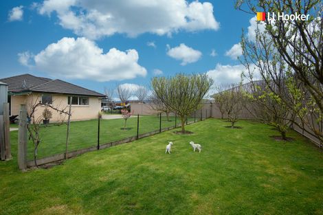 Photo of property in 8 Centre Street, Mosgiel, 9024