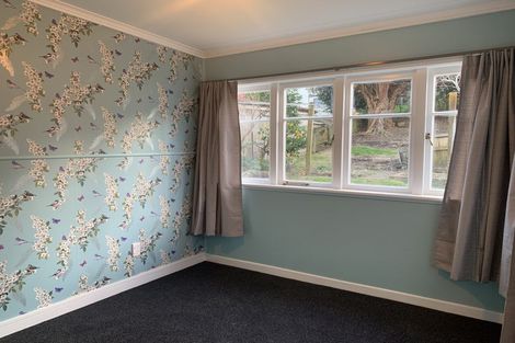 Photo of property in 17 Hillsborough Terrace, Hamilton Central, Hamilton, 3204