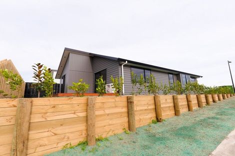 Photo of property in 31 Ngaro Street, Te Kauwhata, 3710