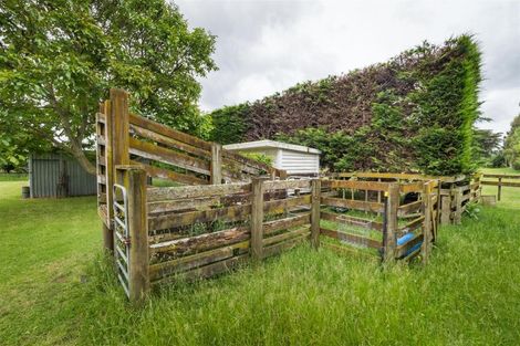 Photo of property in 130 Parewanui Road, Bulls, 4894