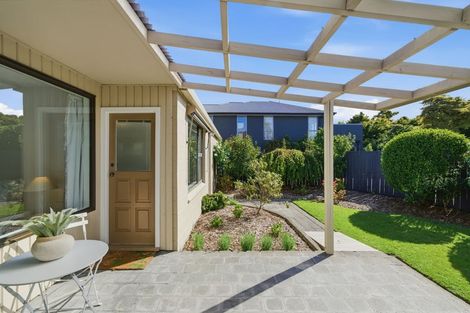 Photo of property in 1/47 Webb Street, St Albans, Christchurch, 8014