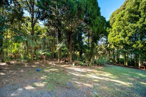 Photo of property in 737 Scenic Drive, Henderson Valley, Auckland, 0612