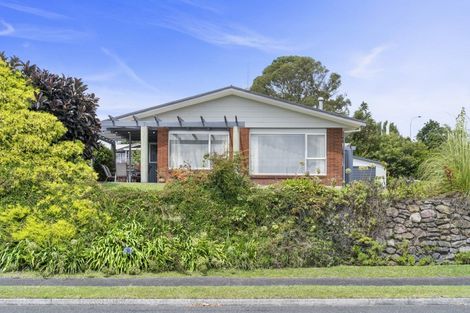 Photo of property in 36 Tutauanui Crescent, Maungatapu, Tauranga, 3112