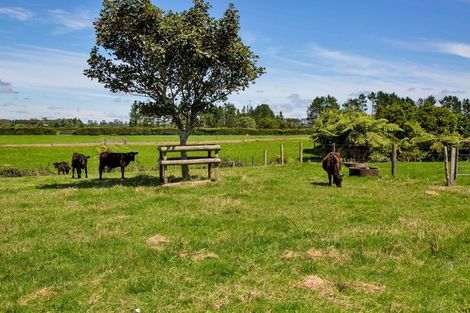 Photo of property in 87 Monmouth Road, Pembroke, Stratford, 4394