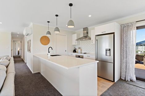 Photo of property in 43 Gimson Street, Solway, Masterton, 5810