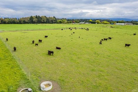 Photo of property in 485a Mairaki Road, Fernside, Rangiora, 7471