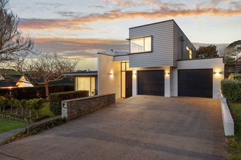 Photo of property in 6 Woolshed Lane, Pukekohe, 2120