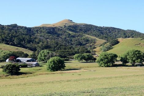 Photo of property in 6 Tangaroa Road, Mangawhai Heads, Mangawhai, 0573