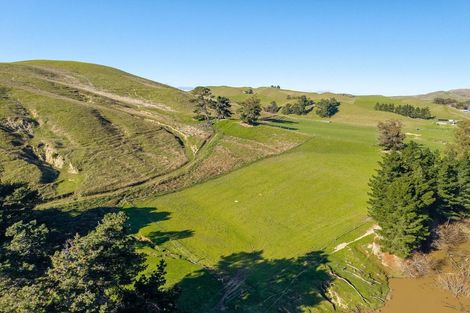 Photo of property in 453 Tetley Brook Road, Seddon, 7285