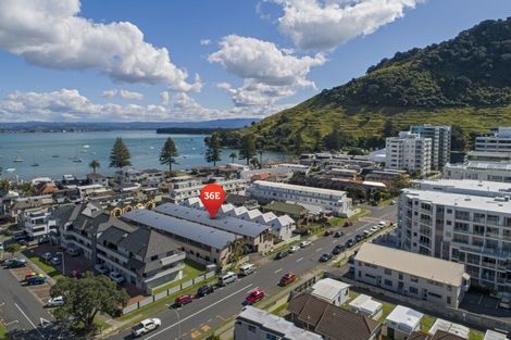 Photo of property in 36e Maunganui Road, Mount Maunganui, 3116