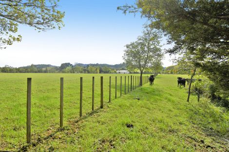 Photo of property in 28 Kaipara Flats Road, Dome Forest, Warkworth, 0981