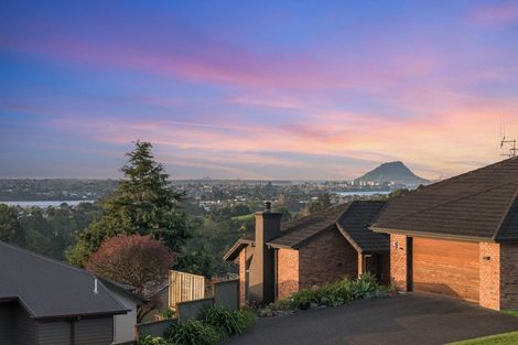 Photo of property in 24 Riddington Rise, Ohauiti, Tauranga, 3112