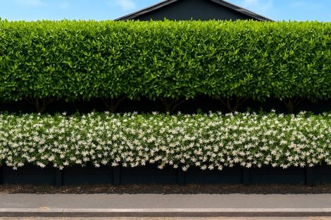 Photo of property in 4 Jeanette Street, Glenview, Hamilton, 3206