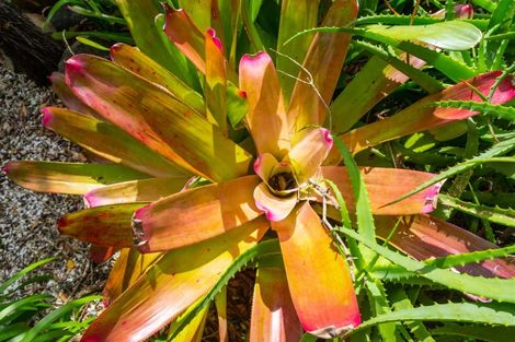 Photo of property in 19 Grange Road, Hahei, Whitianga, 3591