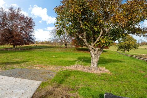 Photo of property in 35 Fencourt Road, Cambridge, 3496