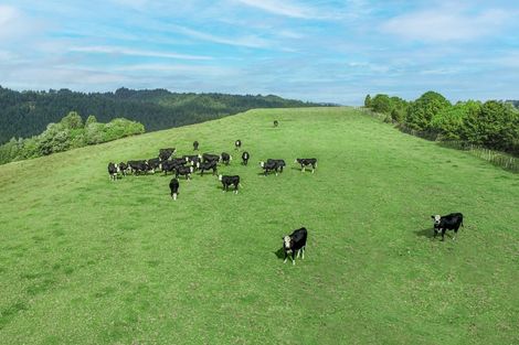 Photo of property in 475 Ahuroa Road, Puhoi, Warkworth, 0994