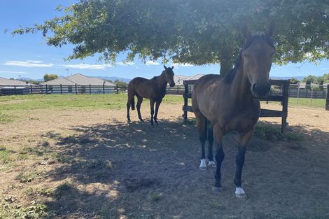 Photo of property in 37 Banks Road, Matamata, 3400