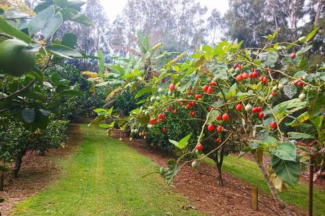 Photo of property in 47 Ness Road, Waipapa, Kerikeri, 0295