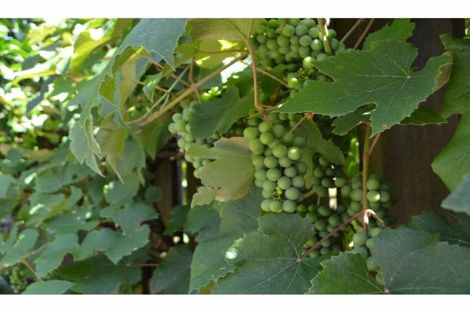 Photo of property in 358 River Road, Kawerau, 3127