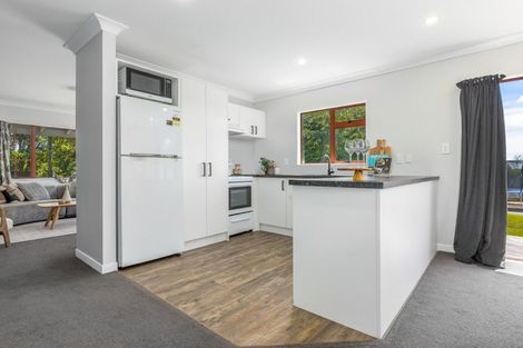 Photo of property in 461 Tararua Road, Levin, 5571