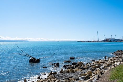 Photo of property in 64 Hardinge Road, Ahuriri, Napier, 4110