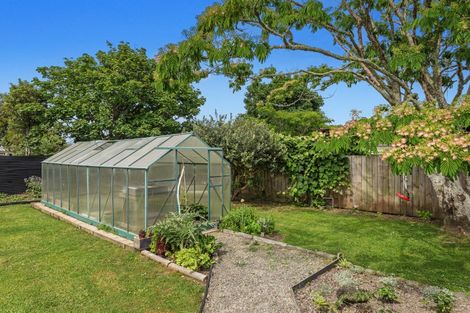 Photo of property in 158 Richard Street, Opotiki, 3122